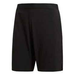 Adidas Terrex Liteflex Shorts W