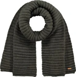 Barts W Bayne Scarf