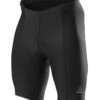 Loeffler Löffler M Bike Short Tights Basic -Outdoor-Bekleidung loeffler m bike short tights basic 20a lfl 04835 black 1 1280x1280