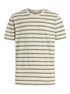 Protest M Prtpembro T-Shirt